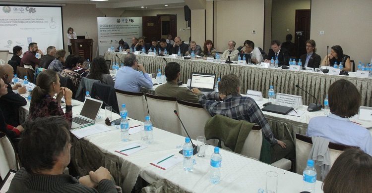 Participants to the Saiga MOU MOS3 - Tashkent, Uzbekistan ©Alexander Esipov