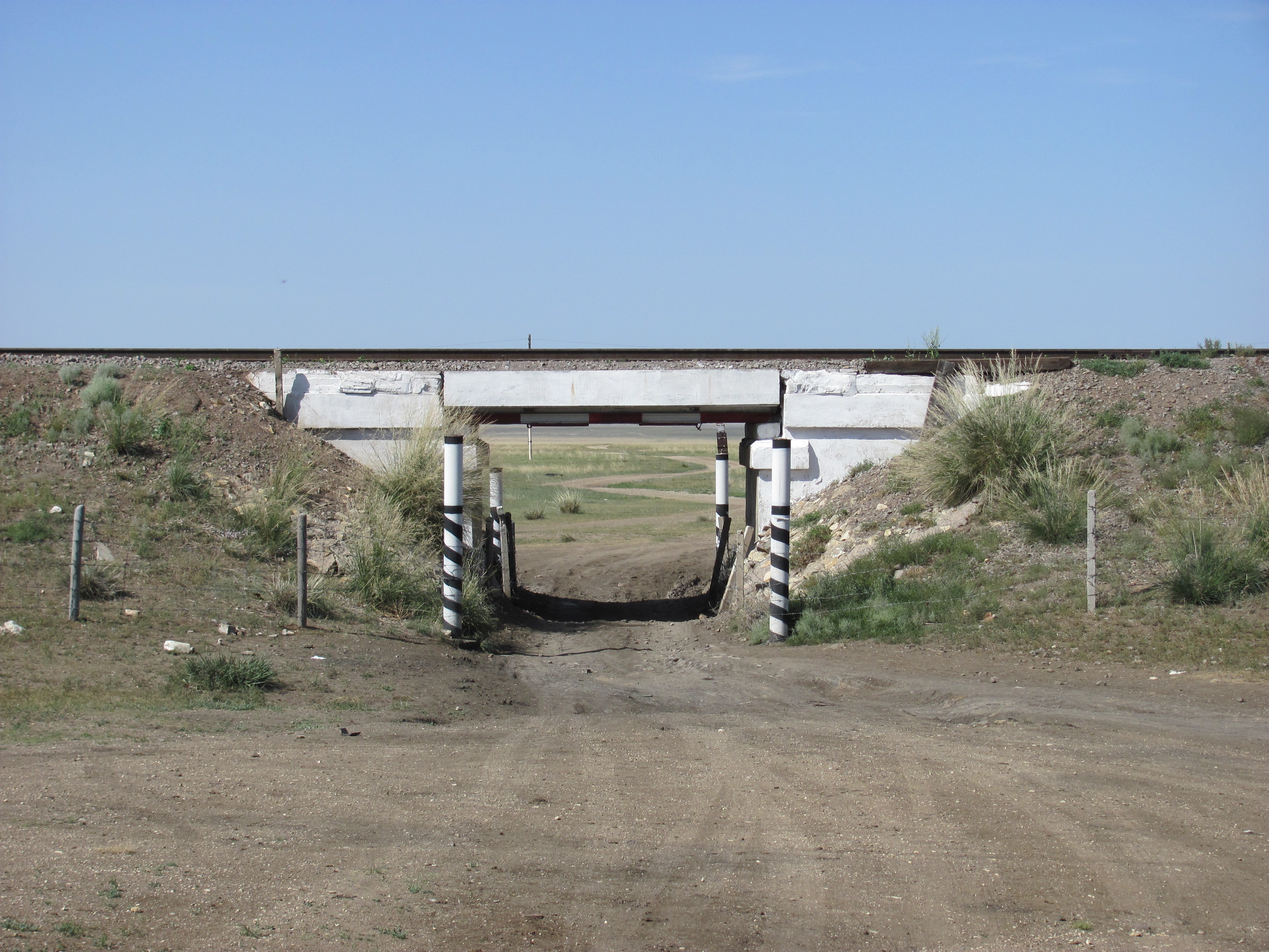 Existing passages not suitable for wildlife © Natalya Yakusheva