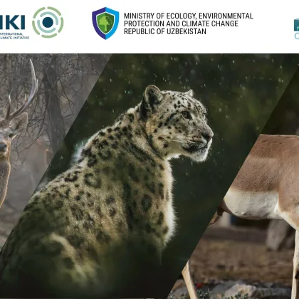 Governments Endorse a New Work Programme to Protect Central Asia's Shared Land Migratory Species