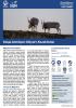 Saiga Fact Sheet